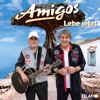 Die Amigos - Odysseus Kehrt Heim